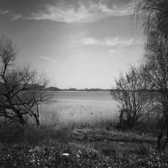 Seeblick - Neuruppin